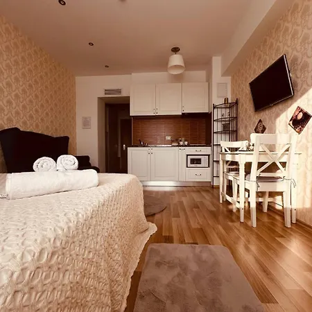 Charming Luxury Rgr Apartment Bucharest